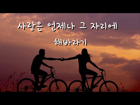 사랑은 언제나 그 자리에 해바라기