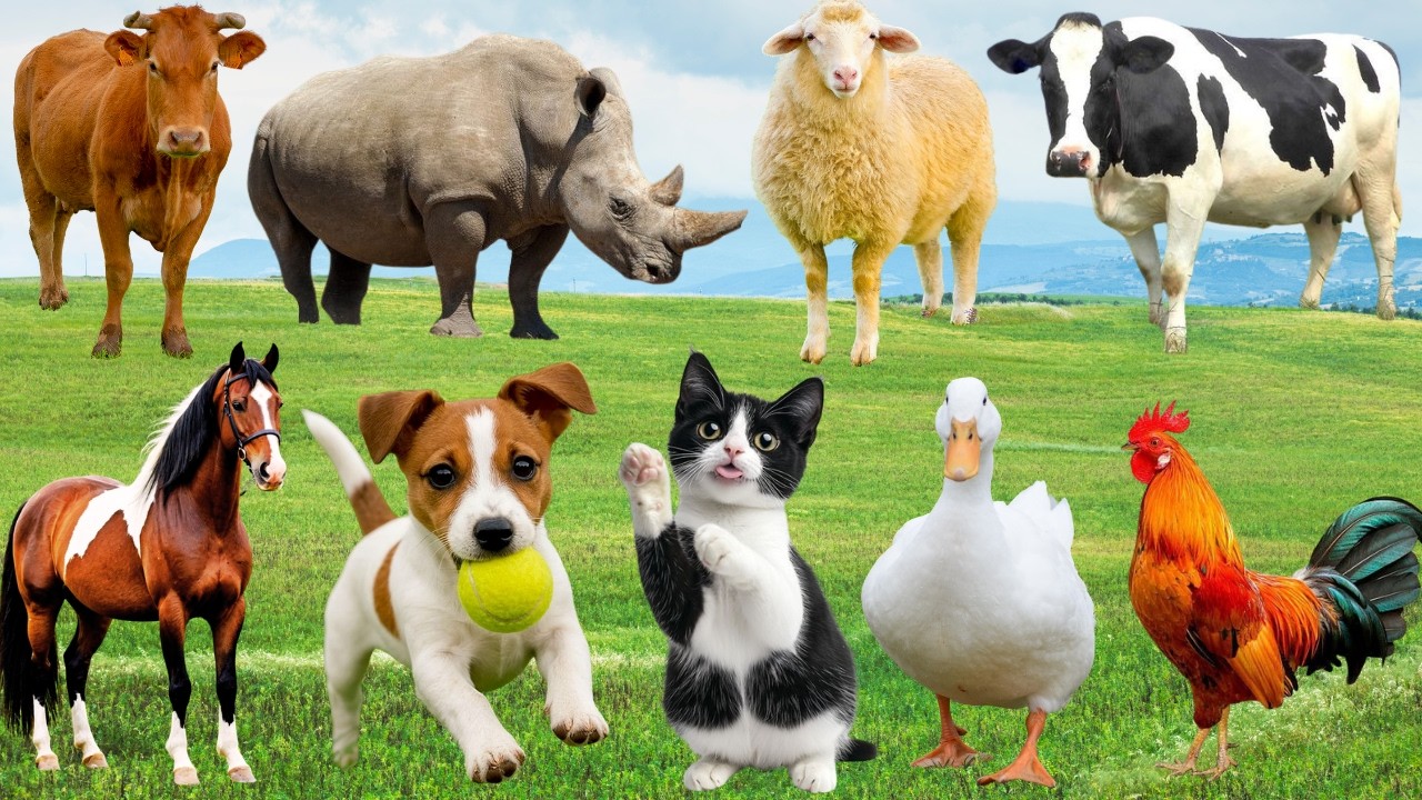 🌿 Muôn Loài Hân Hoan “Bản Ca Hạnh Phúc” – Đồng Quê Vang Lên Giai Điệu Vui Nhộn| FarmAnimals 🐶🐱🐷🦆