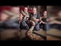 7 Biggest Snakes Ever Found