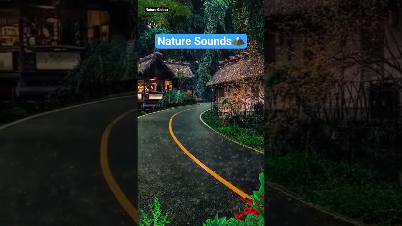 "Nature Sounds" Rain Video ASMR SHORTS 🏔