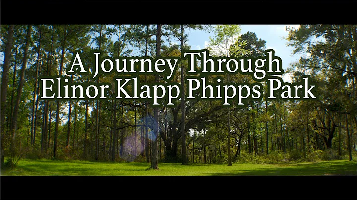 A Journey Through Elinor Klapp Phipps Park - Spring 2020 - 4k - Cinemascope