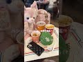 大学生のディズニーデートvlog🎀ོ🍑🥂ファンタジースプリングエリアのピーターパンがとっても楽しくて感動したのでおすすめです👶🏻💗 #大学生の休日 #vlog #生活音asmr #日常