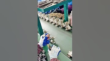 Behind the Scenes: The Art of Assembly Line ✨ #shorts