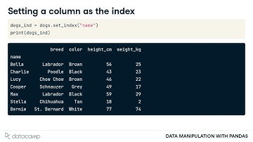 Explicit Indexes | Pandas