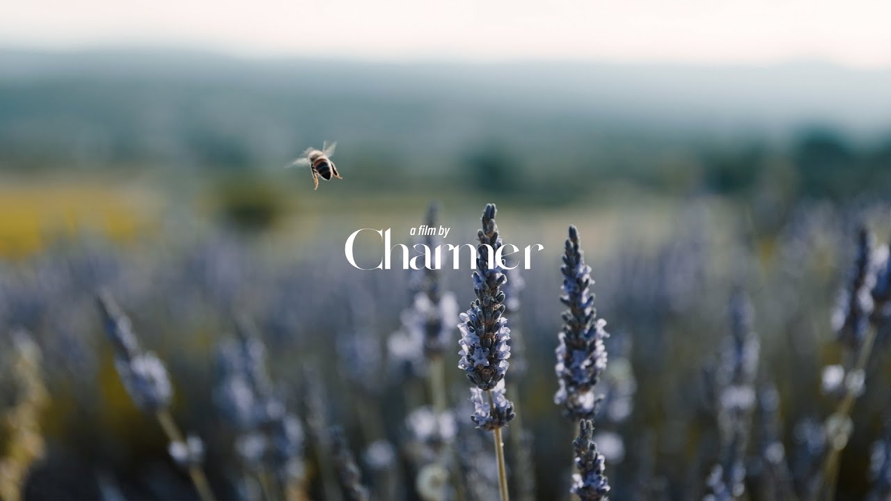 Discover Provence Charm: Luxe Stay at Les Grenadiers de Saint Sat with Stunning Views!