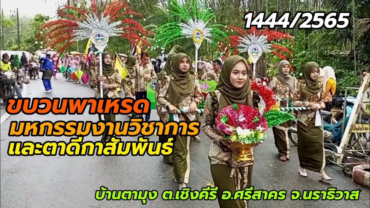 ขบวนพาเหรดมหกรรมงานวิชาการและตาดีกาสัมพันธ์ บ้านตามุง ต.เชิงคีรี อ.ศรีสาคร จ.นราธิวาส