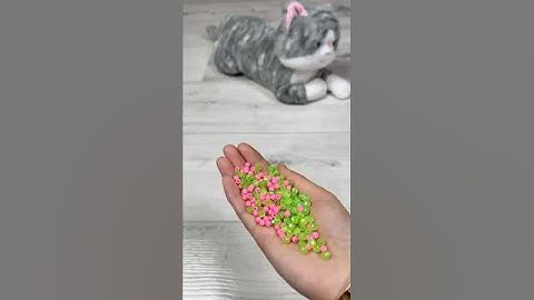 😻 Beads 🌈 Reverse video ASMR #reverse #asmr #cat #shorts