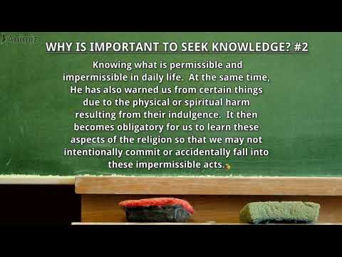 Sumptuary Rules In America Sumptuary Rules In America