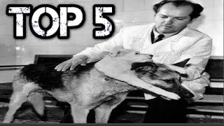 Top 5 Najludjih Naučnika I Njihovi Čudni Eksperimenti