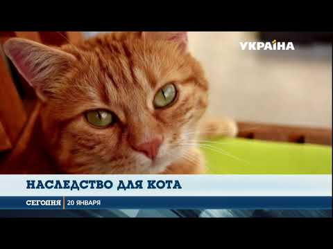 В Италии кот получил наследство от своей хозяйки