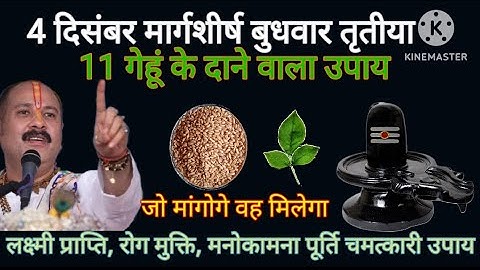 4 दिसंबर मार्गशीर्ष बुधवार तृतीया तिथि को 11 गेहूं के दाने वाला उपाय जरूर करें ll प्रदीप मिश्रा जी