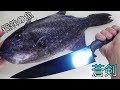 ダイヤモンド級の魚再来!鋼鉄の衣を纏う青い魚を蒼剣でさばく!