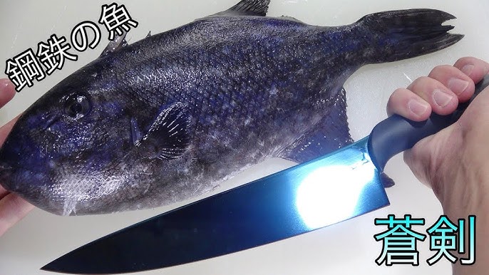 大量の マツカサウオ を熱湯にぶっこむ料理がすごかった 微グロ Diamondfishboil 钻石鱼煮 Youtube 大量の マツカサウオ を熱湯にぶっこむ料理がすごかった 微グロ Diamondfishboil 钻石鱼煮 Youtube