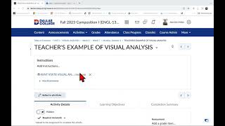 EXAMPLE OF PHOTO ANALYSIS