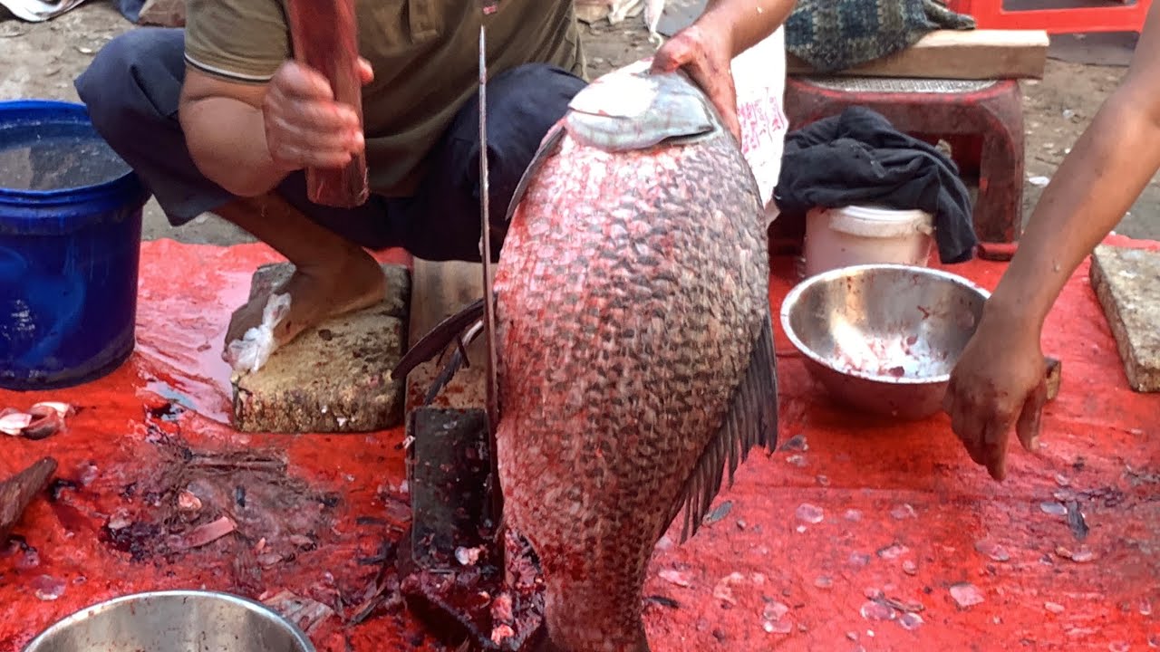 I never seen ll amazing big Katla fish cutting live skills by expert fish cutter in Bangladesh 