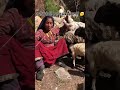 Aama making wool thread in mugu  nepal  shorts