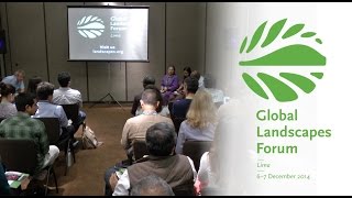 How international finance and socio-environmental standards in infrastructure projects