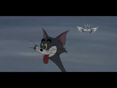 حالات واتس اب توم وجيري حزينة على الخيانة مع اغنية اجنبية 