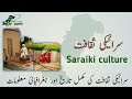 Saraiki culture  south punjab  geography of pakistan   