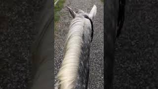 Harriet And Her Boyfriend