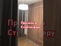 Кот Космонавт