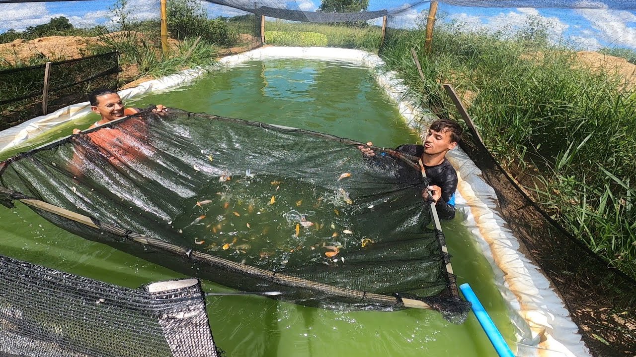 VEJAM OS OSCAR QUE NASCERAM NO AQUÁRIO COMO ESTÃO!