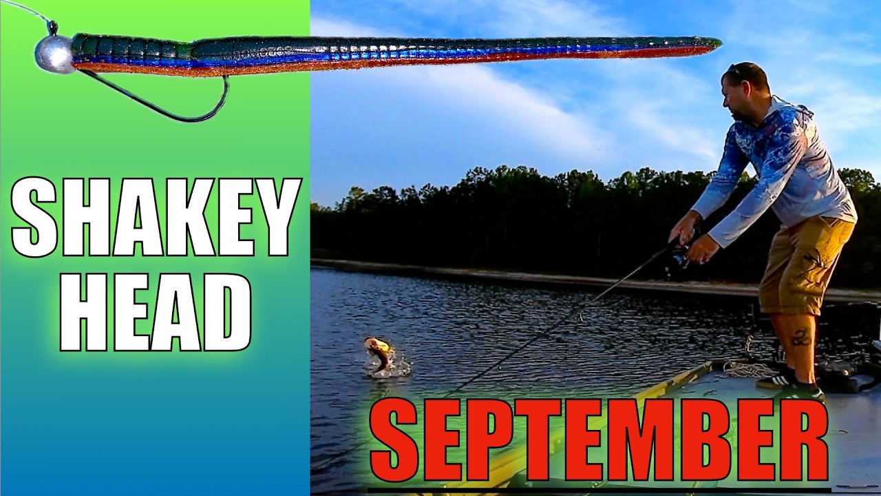Bass Fishing with Shakey heads