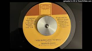 Marvin Gaye - You Sure Love to Ball (Tamla) 1973