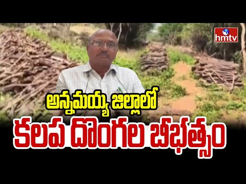 Annamayya District : అన్నమయ్య జిల్లాలో కలప దొంగల బీభత్సం | hmtv - HMTVNEWS
