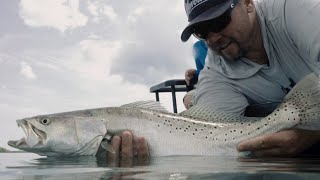 Guidelines  Gator Trout and Redfish in Mosquito Lagoon