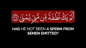 أيحسب الإنسان أن يترك سدى | جابر القيطان شاشة سوداء قرآن بدون حقوق سورة القيامة كروما قران