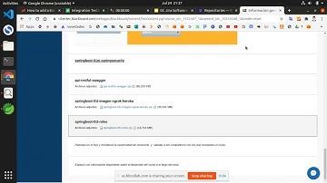 Curso Desarrollo de Aplicaciones Web 2 - Video 13