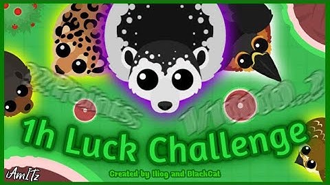Going Insane in the Roams.io 1 Hour Luck Challenge (feat. chcknggts)
