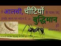 Hindi Bible Study #34 चीटीयों को देखकर हम कैसे बुद्धिमान बन सकते है। Lessons from the life of ants.