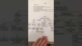 NU664 Kristina Pocket Guide