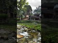 Beauty of Newziland country video