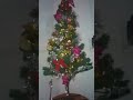 como tá linda nossa árvore de Natal#shorts