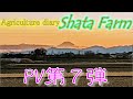 shata農園オリジナル PV第７弾／きゅうり農家／きゅうり栽培／愉快なshata農園