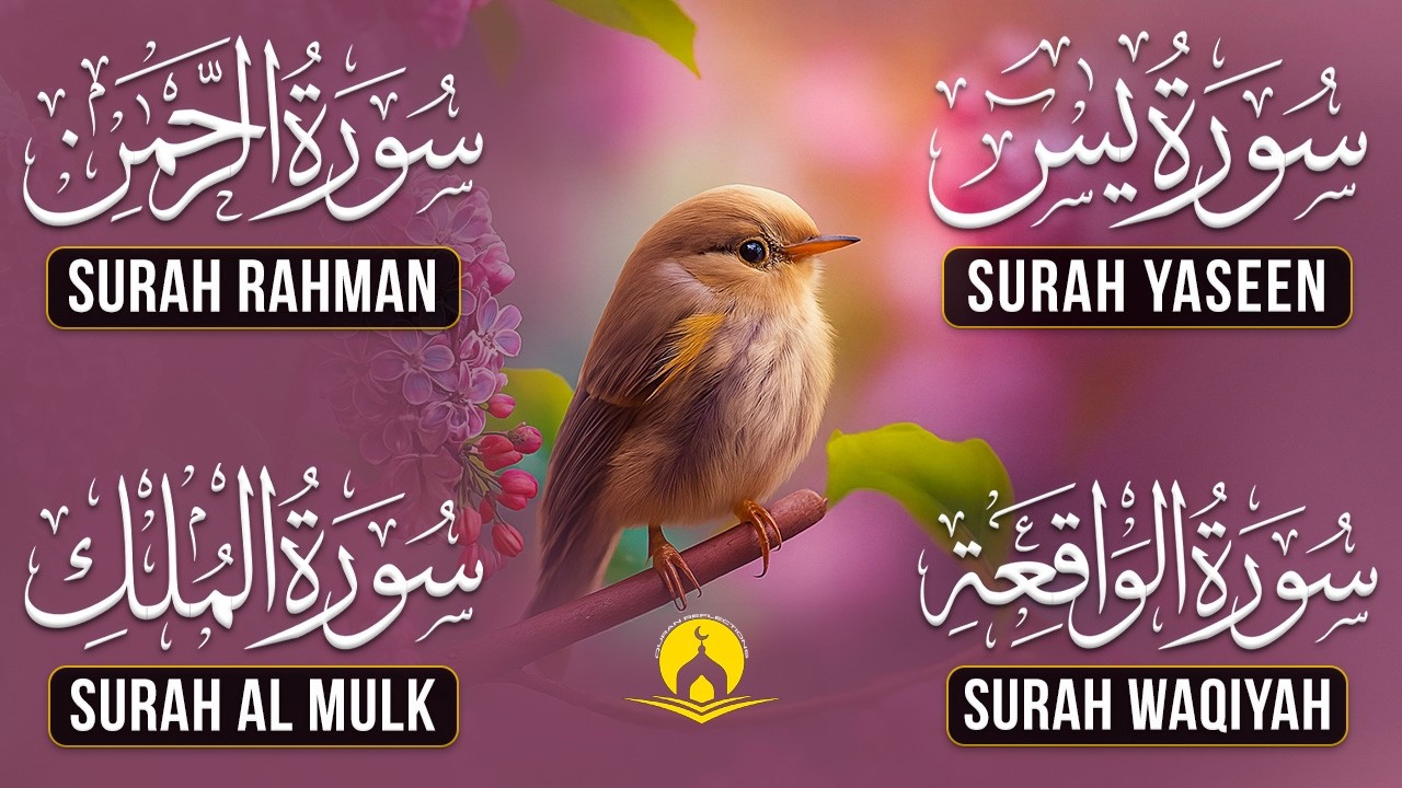Very Nice Voice Surah Yaseen | Surah Rahman | Surah Waqiah | Surah Mulk l Reciter Ashraf Hussain 134