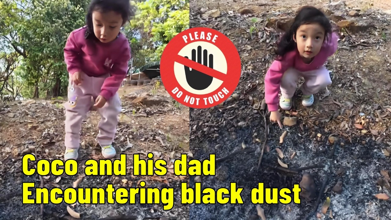 Never touch the ash from burnt tree branches.