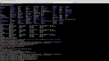 Video 4 multisite and multi store setup magento 2
