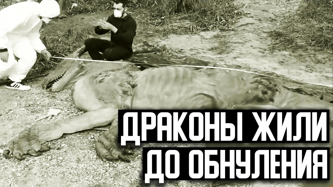 В Библии было написано о динозаврах ещё до их открытия. Драконы до Потопа.