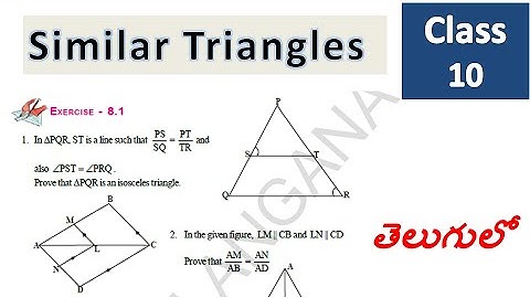 Class 10 || Similar Triangles || Exercise - 8.1