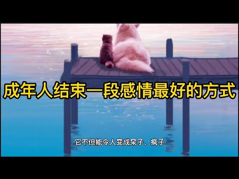 成年人结束一段感情最好的方式