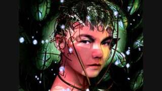 björk - 5 years (alec empire mix)