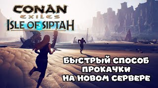 Conan Exiles: Isle of Siptah - Быстрый способ прокачки на новом сервере. Остров Сиптах.