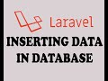 22  inserting data in database table in laravel  urdu  hindi 