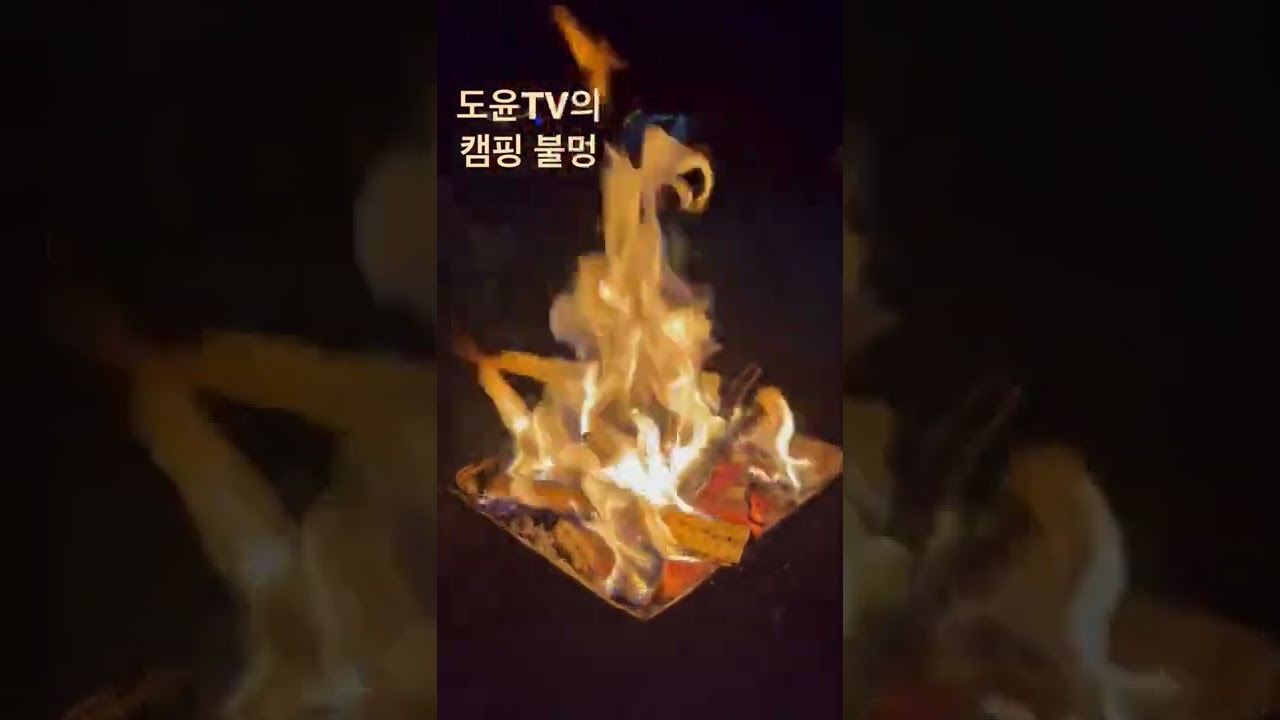실시간!! 가평 하늘땅별땅캠핑장 갬성 불멍 #불멍 #shorts