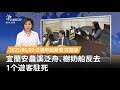 宜蘭安農溪泛舟事故
