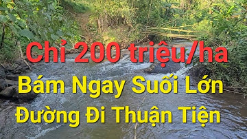 (Số 989)Xót Lại Vườn Chỉ 200 triệu/ha Bám Ngay Suối Lớn Đường Đi Thuận Tiện #nhadatdaknong #bds 